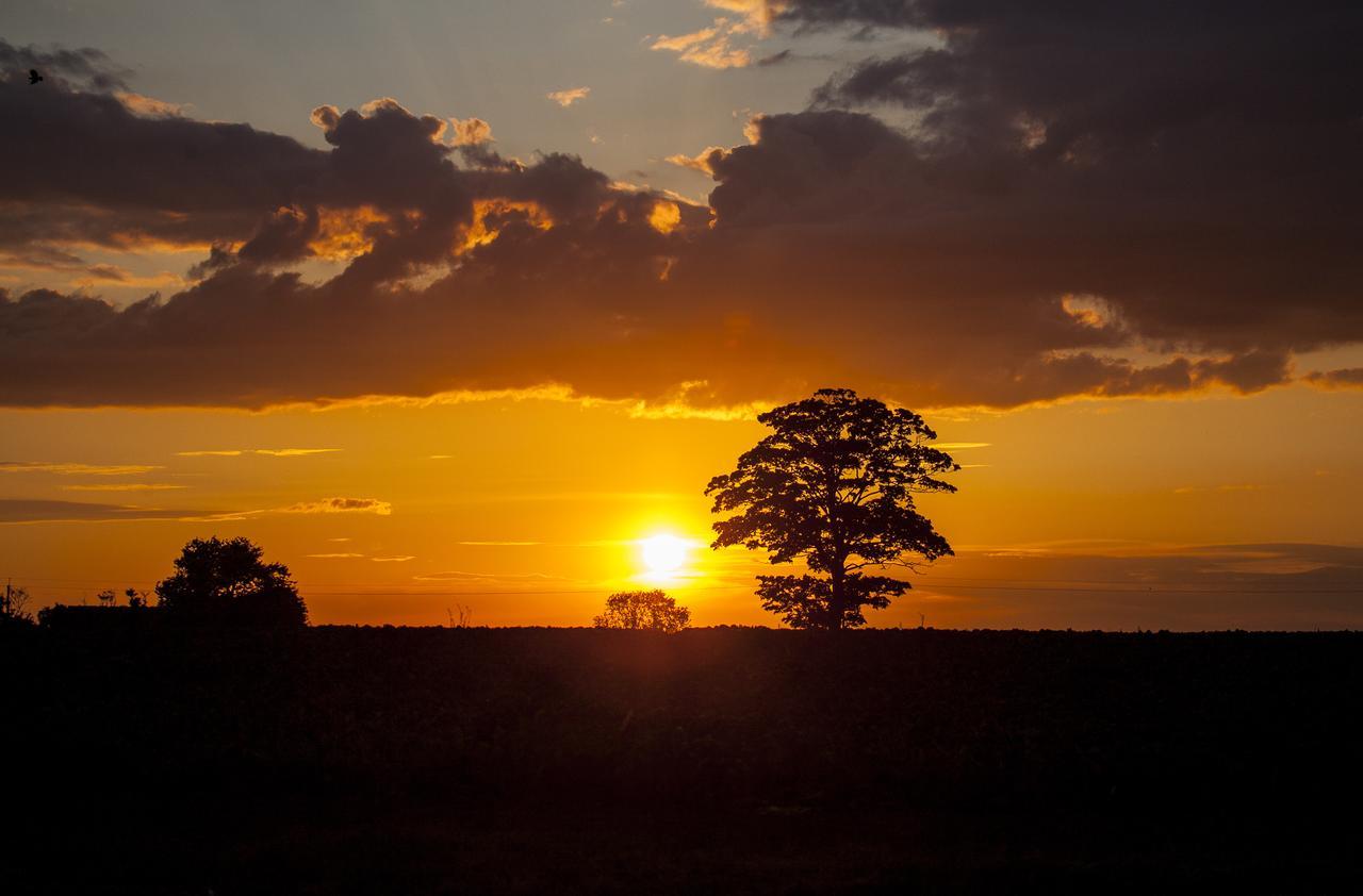 Sunset House Bed & Breakfast Friskney ภายนอก รูปภาพ